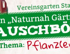 Tauschbörse im Vereinsgarten