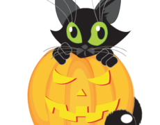 Halloween-Party