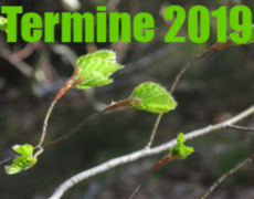 Wichtige Termine im Gartenjahr 2019